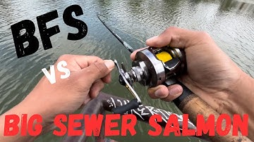 BFS Fishing a giant Sewer Salmon in Los Angeles