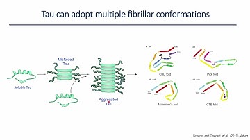 BMG Labtech: Developing an HTRF Assay for the Detection of Tau Prions