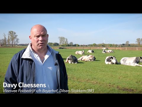 Miniatuur van productvideo