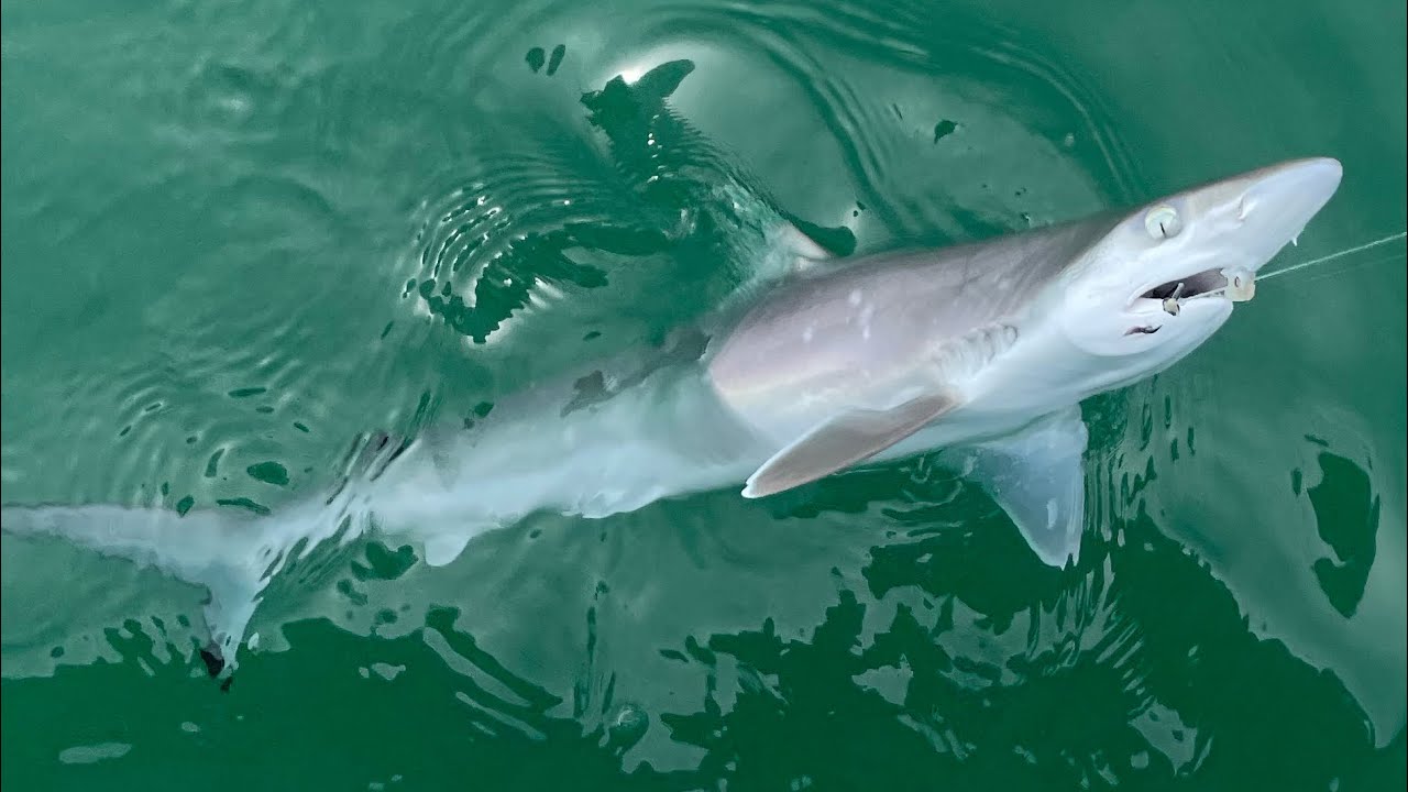 Florida Boyzzzz-Week 8 Power Rankings (2025)