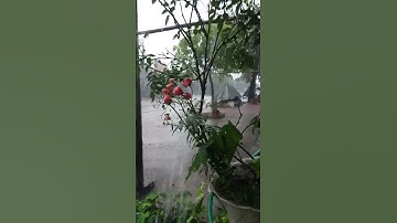 Lần Đầu Của Năm l Núi Đồi Lục Ngạn