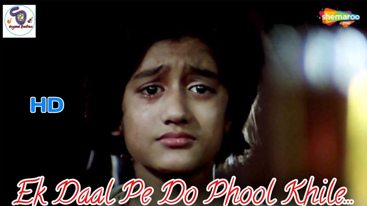 Ek Daal Pe Do Phool Khile (HD) - Suhaag Songs - Nirupa Roy - Kader Khan -  Filming by Shemaroo - YouTube