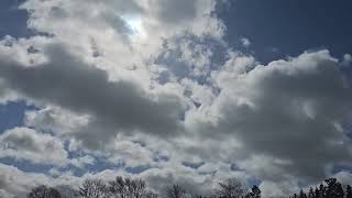 The Spring In Sweden.