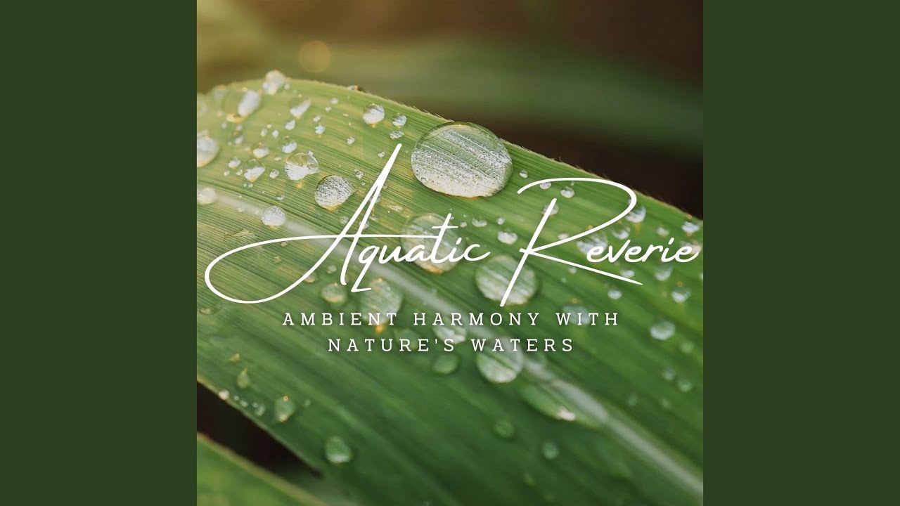 Awakening to Nature's Water Symphony