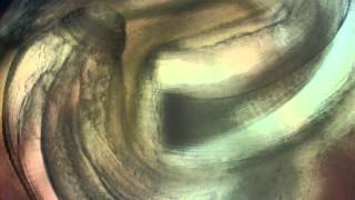 AL3 of Gnathostoma spp. in eel liver