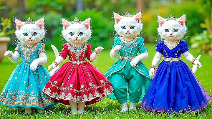 Video 11756051: kittens cat dance funny, cutest funniest cat dance, funnycatvideos