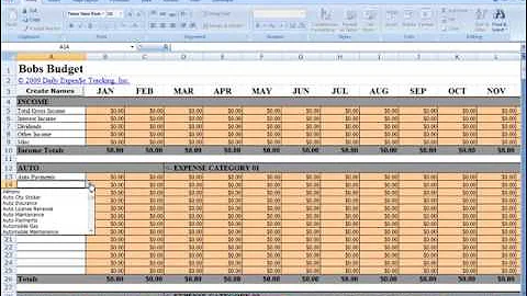 Setup Expense Categoreis in Daily Expense Tracking  Excel Budgeting Workbook