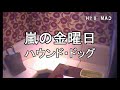 カラオケ ハウンド・ドッグ(大友康平)【嵐の金曜日】歌いました