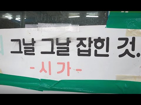 모든 회가 싯가인 <strong>수상한</strong> 횟집! <strong>인천</strong> 북성포구 볼음도! [맛있겠다 Yummy]