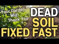 Dead Soil No More: The 3-Layer Mulch System That Transforms Any Garden