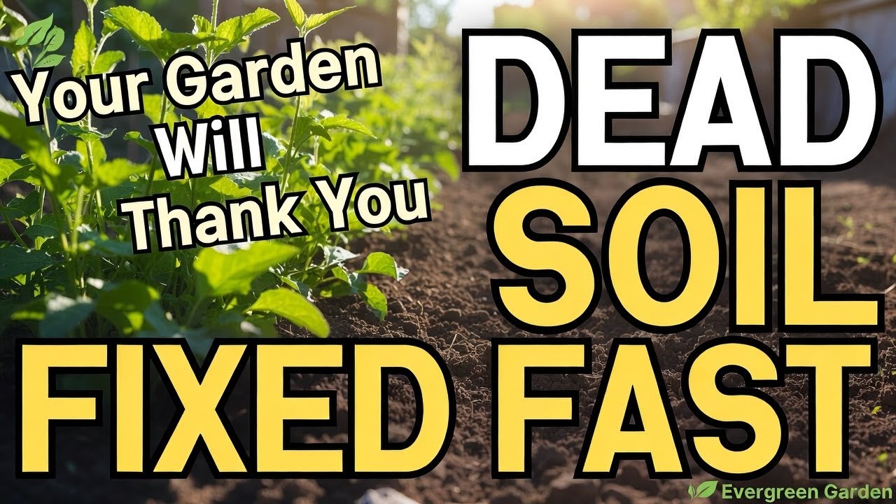 Dead Soil No More: The 3-Layer Mulch System That Transforms Any Garden