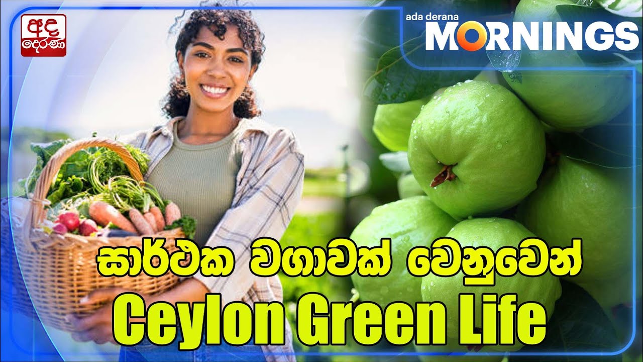සාර්ථක වගාවක් වෙනුවෙන් Ceylon Green Life | Ada Derana