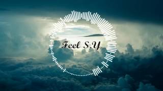 [Electro House] Feel S.Y - High flight