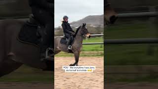 Hes Actually The Best Pony