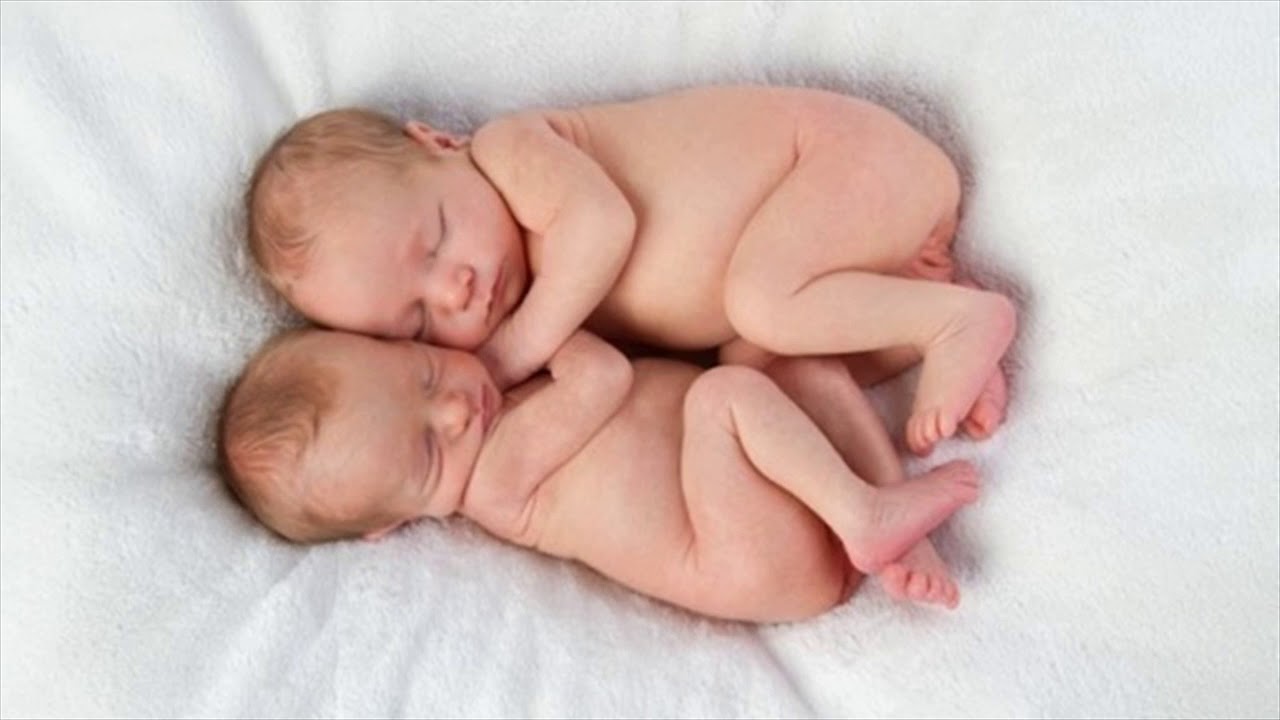 Most Effective Herb To Treat Infertility Is Maca Root Directions TO