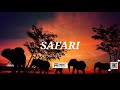 Dj maphorisa type beat "Safari" Amapiano Instrumental 2020 #djmaphorisa #djmaphorisabeat #amapiano