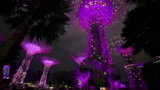 IMG 1365 IMG 1365