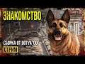 Fallout 4 → СБОРКА ОТ Dotya_Oof ► СТРИМ-ОБЗОР ◄