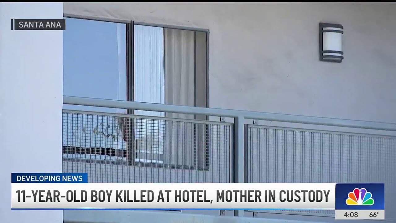 Mother in custody after 11-year-old son found fatally stabbed in Santa ...