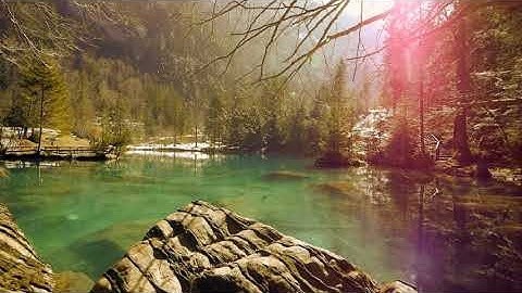 سورة النصر ، هزاع البلوشي