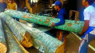 Cutting wood with a jigsaw
