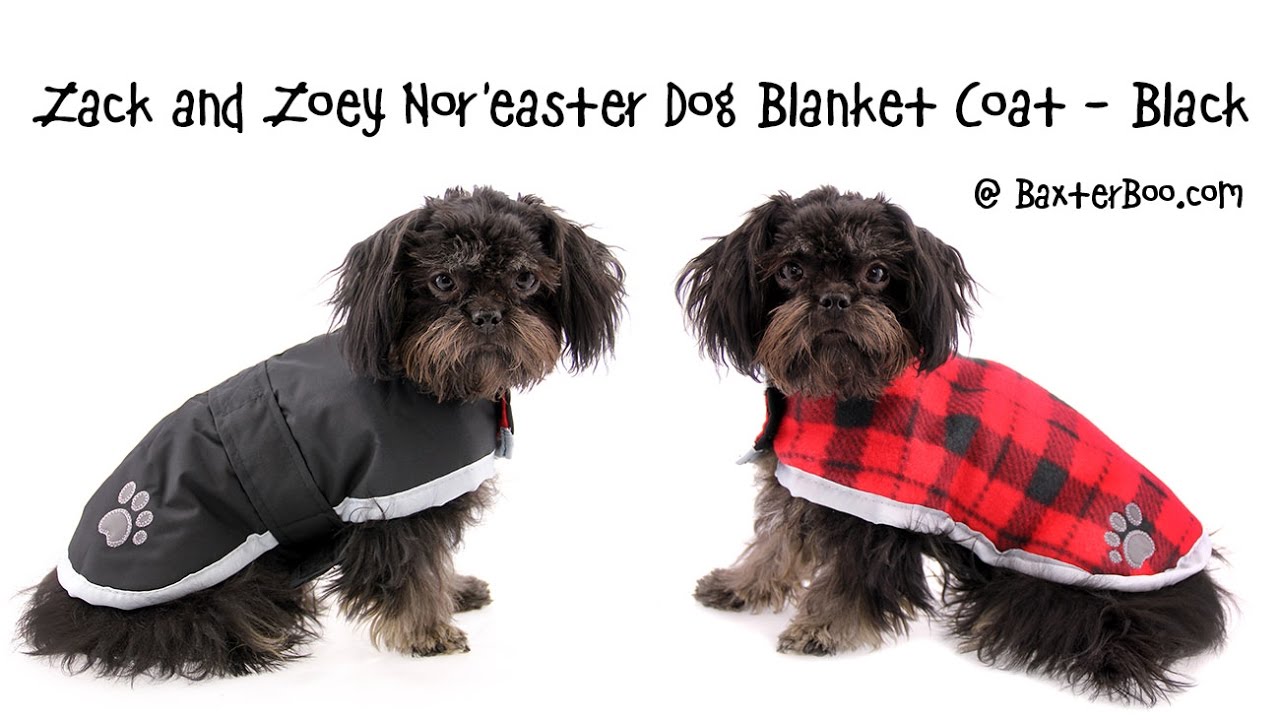 zack and zoey baby blanket