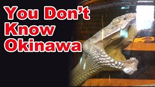 What is Awamori? | English Sub | Okinawan best souvenir | Awamori