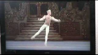 Nutcracker-Royal Grand pas de deux.wmv