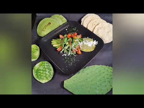 Frischer Nopal Kaktusblatt Salat gesundes Mexikanisches Vegetarisches Rezept, Feigenkaktus Superfood
