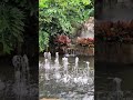 mandi disini enak kalik ya 😄 #shortvideo #viral #travel #shorts