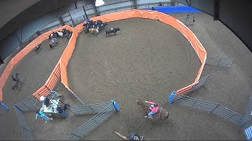 Big Sky Ranch Sorting Saddle Series #3 - #7 Sort - Round #1 - Ride #3