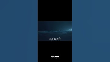 ﴿كُلُّ مَن عَلَيها فانٍ ۝ وَيَبقى وَجهُ رَبِّكَ ذُو الجَلالِ وَالإِكرامِ ۝ ﴾ ||  القارئ ياسرالدوسري