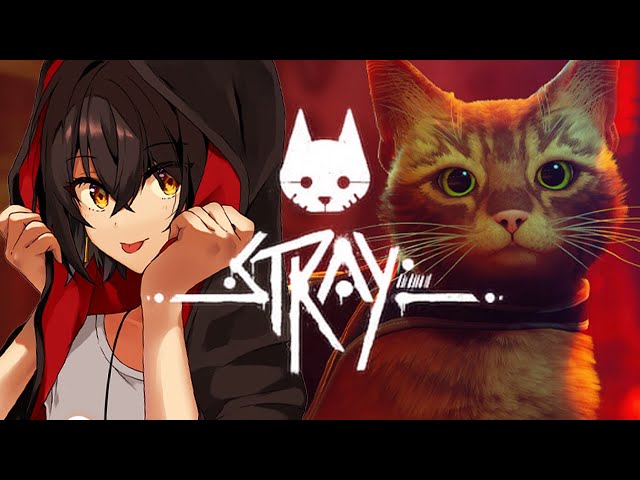 Stray - 新作の猫のゲームをプレイする！！のサムネイル
