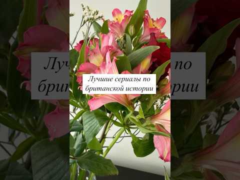 Лучшие сериалы по британской истории 🎞️