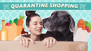 Quarantine Shopping in FINLAND | Groceries &amp; New Light!