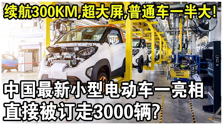 續航300公里，僅有普通車一半大，還配備超大連屏！中國最新小型電動車一亮相，直接被訂走3000輛！德國急了？ - 天天要聞