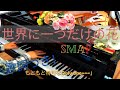 【ピアノ】「世界に一つだけの花」- SMAP {Sekai ni Hitotsu dake no Hana}~Lyrics: 日本語/ English