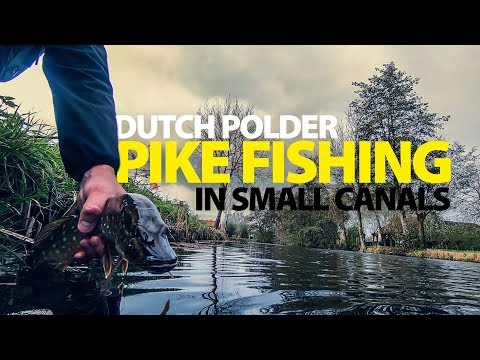 SPRO - Snoeken In De Nederlandse Polders - Hoe Doe Je Dat?