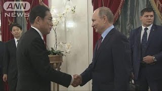 岸田－プーチン会談　領土問題など意見交換(16/12/03)