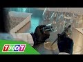 Báo Zing: Thử nghiệm canh tác trong môi trường giống sao Hỏa