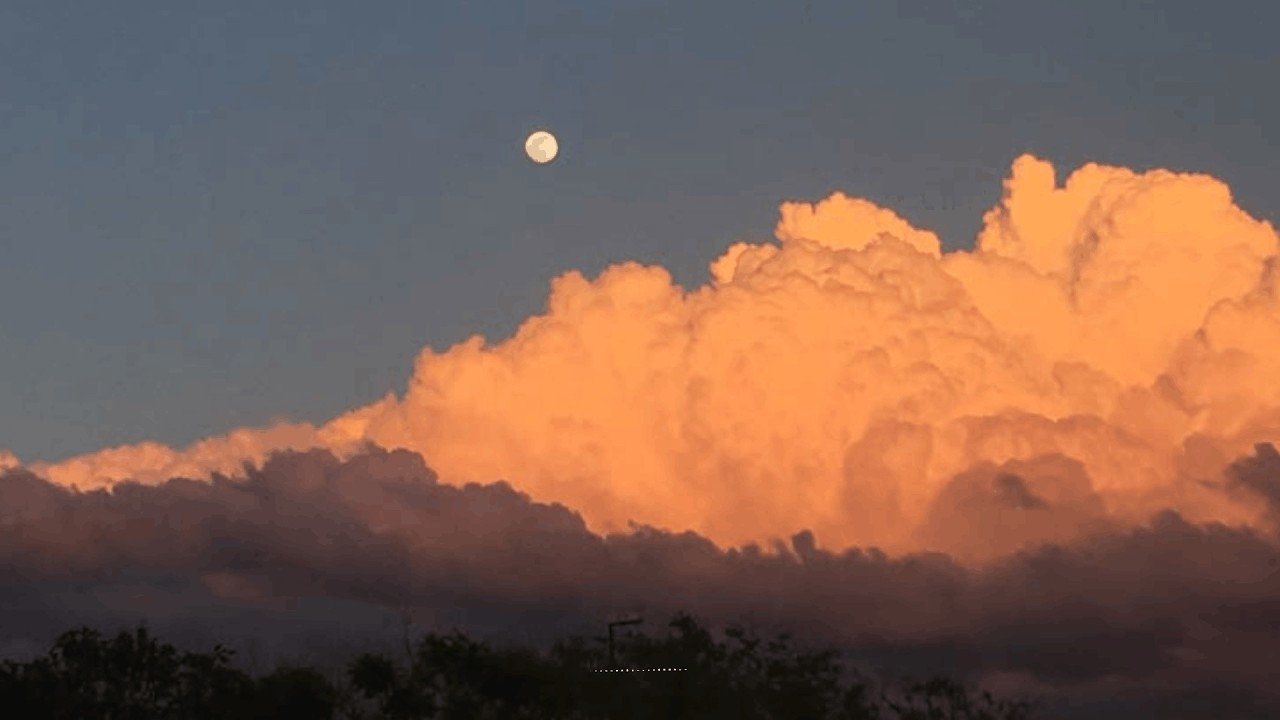 𝐏𝐋𝐀𝐘𝐋𝐈𝐒𝐓 | Where Gold Meets Blue