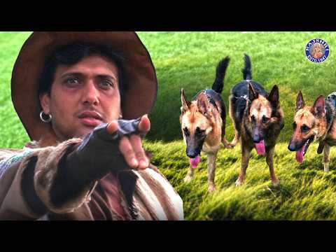 गोविंदा ने शिकारी कुत्तों को काबू में कर लिया | Maharaja Movie Scene | Govinda & Hunting Dogs Scene
