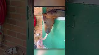 Little Girl Finds Horse Mom