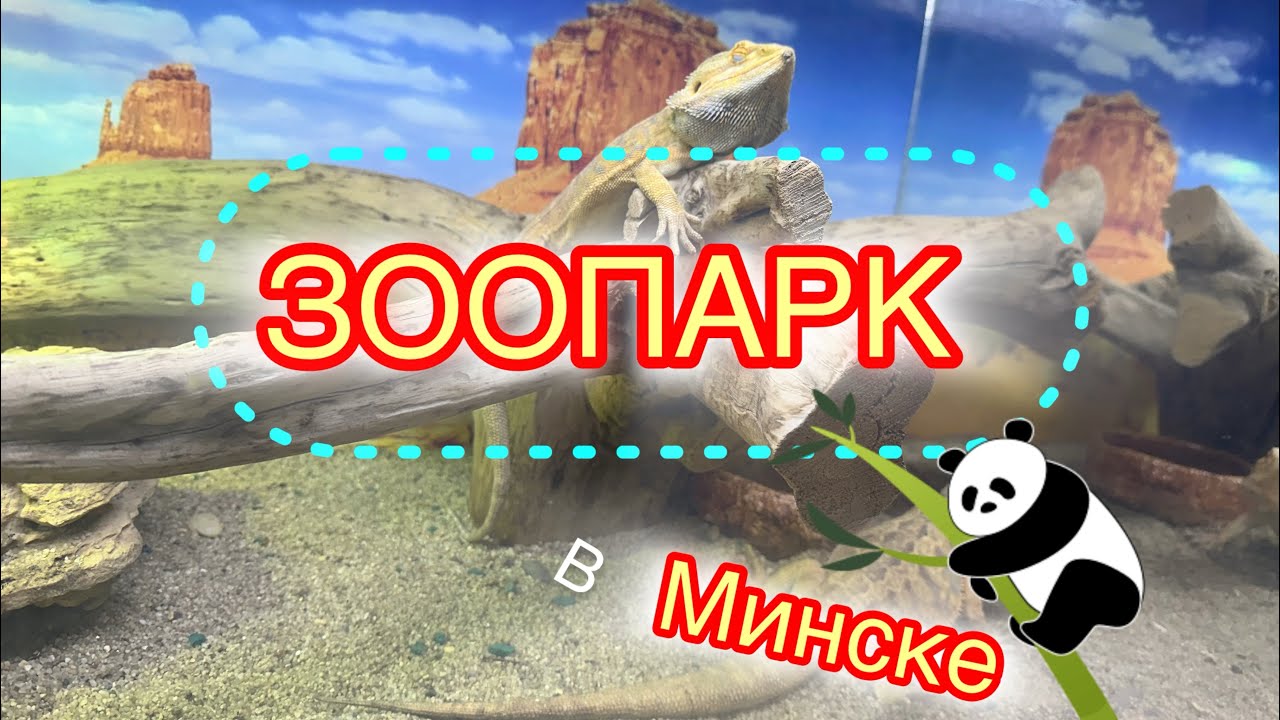 Зоопарк🇧🇾в Минске