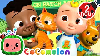 We Love Our Pets | Cocomelon  | Family Time! ‍‍ | MOONBUG KIDS | Family...
