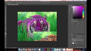Tiger Picture (Photoshop Assignment) on a Mac screenshot 3