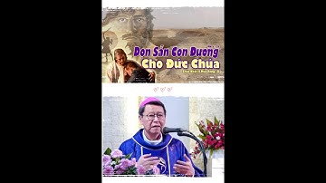DỌN ĐƯỜNG CHO CHÚA_Chúa nhật II mùa vọng năm C_Giảng lễ của Đức cha PHÊRÔ NGUYỄN VĂN KHẢM