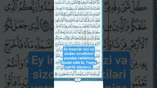 Ərəbcə oxunuş Quran Bəqərə surəsi - Seymur Camal