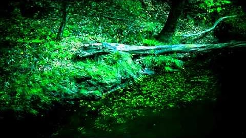 تلاوة رائعة جداً من سورة الفرقان الشيخ سعود الشريم