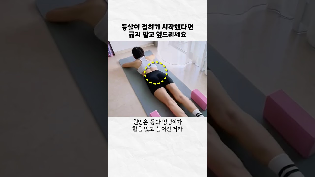 97%가 모르는 접히는 등살 빼는 법 #등살 #등살빼는법 #뒤태운동